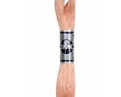 DMC cotton a broder 754 embroidery thread
