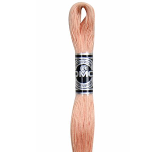 DMC cotton a broder 754 embroidery thread