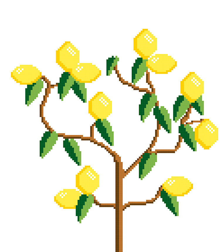 XL citroenboom borduurpatroon XL citroenboom borduurpatroon