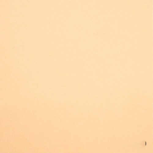 meat color wool felt color 109